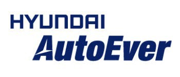 Hyundai Mnsoft